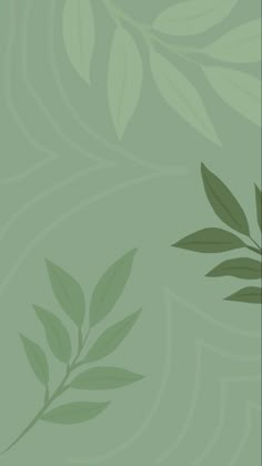 a green background with leaves on it