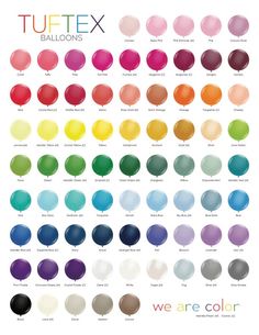 the colors of balloons are shown in this poster, which includes different shapes and sizes