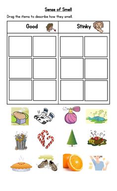 a worksheet with pictures and words to help students learn how to write the word smell