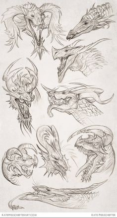 some drawings of different types of dragon heads