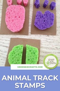 The DIY animal track stamps are a fun and educational project for your animal-loving kids! Sponge Stamps, Free Crafts For Kids, Mammals Activities, Jungle Activities, Planets Activities, Purple Christmas Decorations, Planet Crafts, Safari Activities, Trees Diy