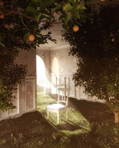 an empty chair sitting in the middle of a room with oranges on the trees