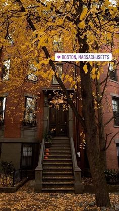 a tree with yellow leaves in front of a brick building and stairs leading up to it