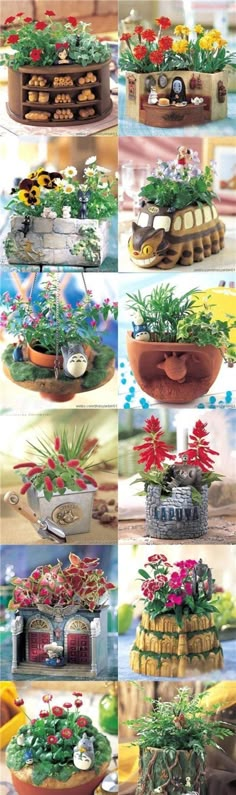 many different types of flowers and plants in pots