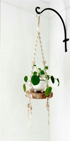 a potted plant hanging from a hook on a wall