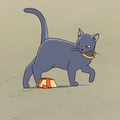 a blue cat walking across a sandy beach next to a bag and shoe on the ground