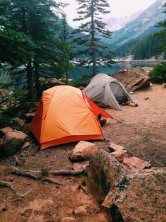 two tents set up on the side of a mountain with pine trees in the background