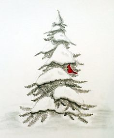 a pencil drawing of a pine tree with a cardinal perched on it's branch