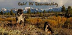 two dogs standing in the grass with mountains in the background