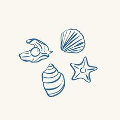 three seashells and one starfish are drawn in blue ink on a white background