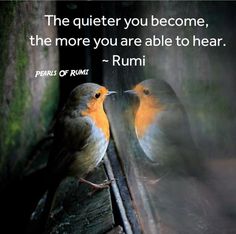 two birds sitting on top of a window sill with a quote above them that reads, the quiet you become, the more you are able to hear rumi