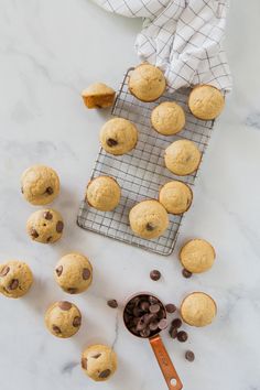 chocolate chip muffins cooling on a wire rack next to a cookie scooper