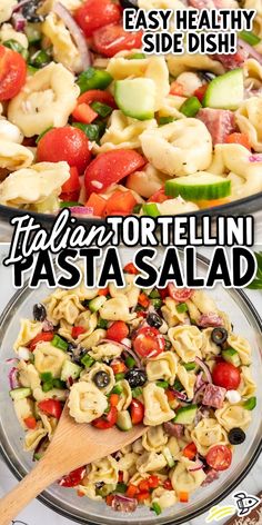 Tortellini Pasta Salad Tri Color Salad, Italian Tortellini Salad, Tri Colored Pasta Salad Italian, Easy Tortellini Pasta Salad, Pasta Salad With Cheese Tortellini, Greek Tortellini Pasta Salad, Italian Tortellini Pasta Salad