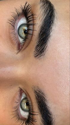 Long Lashes Blue Eyes, Long Lashes Aesthetic, Eyelashes Aesthetic, Feline Beauty, Big Eyelashes, Bentuk Alis, Lash Sensational, Smink Inspiration, Thick Eyebrows