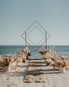 an outdoor ceremony setup on the beach with pamodia in pots and sea grass