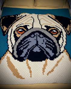 a close up of a pug dog on a bed with blue and tan sheets