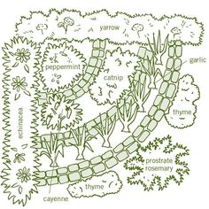 a drawing of a garden with trees and plants on it's sides, all labeled in