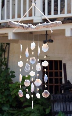 a wind chime with seashells hanging from it