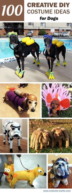 some dogs are dressed up in costumes and standing next to each other with the words, 100 creative diy costume ideas for dogs