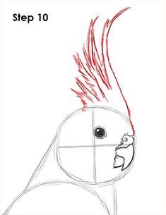 a drawing of a bird with red feathers on it's head and the words step 10