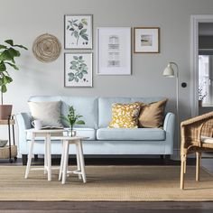 a living room with blue couches and pictures on the wall above them in various frames