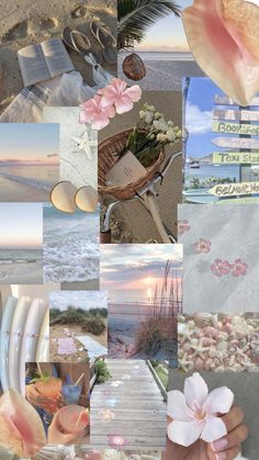 a collage of photos with flowers and shells on the beach in pink, white and blue