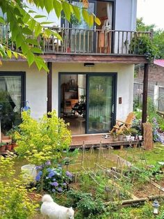 a white dog standing in front of a house next to a lush green yard with lots of flowers