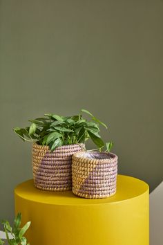 two planters sitting on top of a yellow table