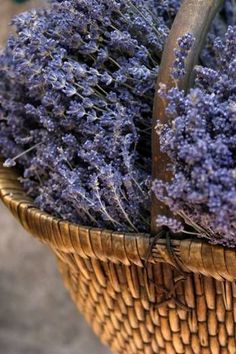 a basket filled with lots of purple flowers