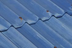 two birds are perched on the roof of a blue building with white tiles and one bird is looking at something in the distance