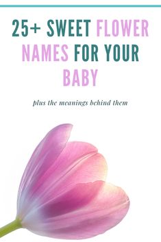 a pink flower with the words 25 + sweet flower names for your baby plus the meanings behind them