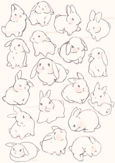 the outlines of rabbits are shown in this drawing