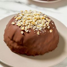 there is a chocolate cake with nuts on it