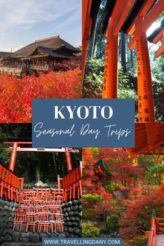 an orange tori tori shrine with the words kyto seasonal day trips