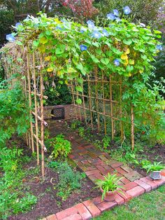 an outdoor garden with lots of plants growing on it's sides and brick walkway