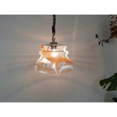 a glass light hanging from a ceiling in a room with white walls and plants on the wall