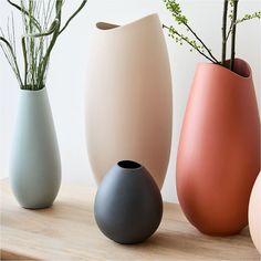 three different colored vases sitting on a table with plants in them and one is empty