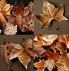 four pictures of different types of leaves with white and brown designs on them, all arranged in the same pattern