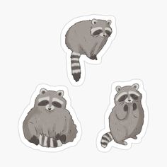 three raccoons stickers on a white background