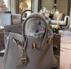 Super Rich Kids, Luxury Lifestyle Dreams, Fancy Bags, Future Lifestyle, Rich Kids, Old Money Aesthetic, Old Money, Birkin Bag, Luxury Lifestyle