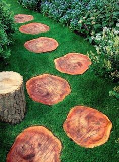 several pieces of wood sitting on top of green grass