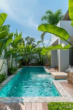 a small pool surrounded by lush green plants