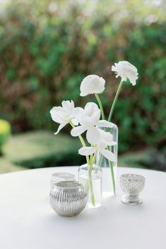 White Single Variety Floral Bud Vases Modern White Wedding Flowers, White Flowers In Bud Vases, Bud Vases Cocktail Table, Bud Vases White Flowers, White Bud Vases Wedding, White Rose Bud Vase Wedding, White Flower Bud Vases, Green And White Bud Vases, White Floral Bud Vase Wedding