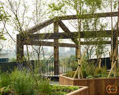 an outdoor garden with wooden planters and trees