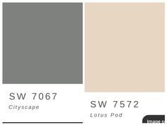 the color scheme for grayscape is shown in three different shades, including neutrals and