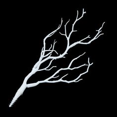 a white tree branch against a black background