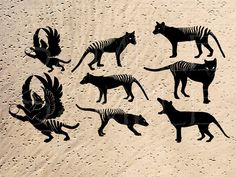 six silhouettes of different types of animals in the sand