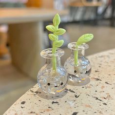 two glass vases with plants in them sitting on a marble counter top next to each other