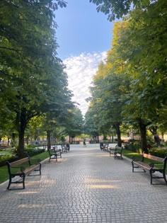 several park benches are lined up along a brick walkway in the middle of a park