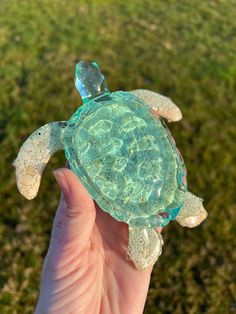 a hand holding a small green turtle in it's right hand, with grass in the background